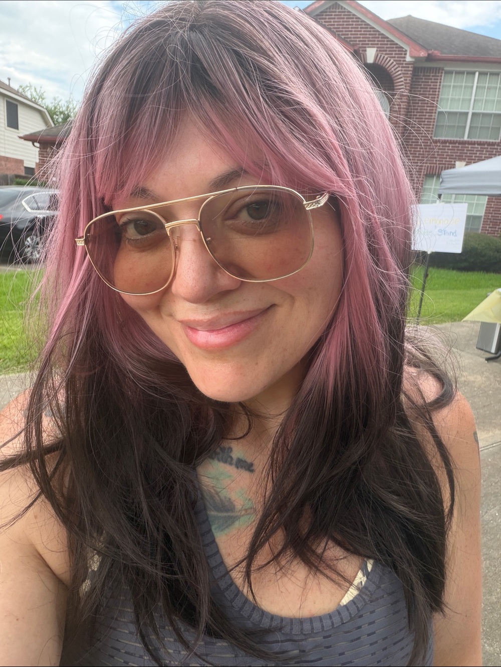 Stylish Two-Tone Pink & Dark Brown Women's Wig - Modern Layered Look